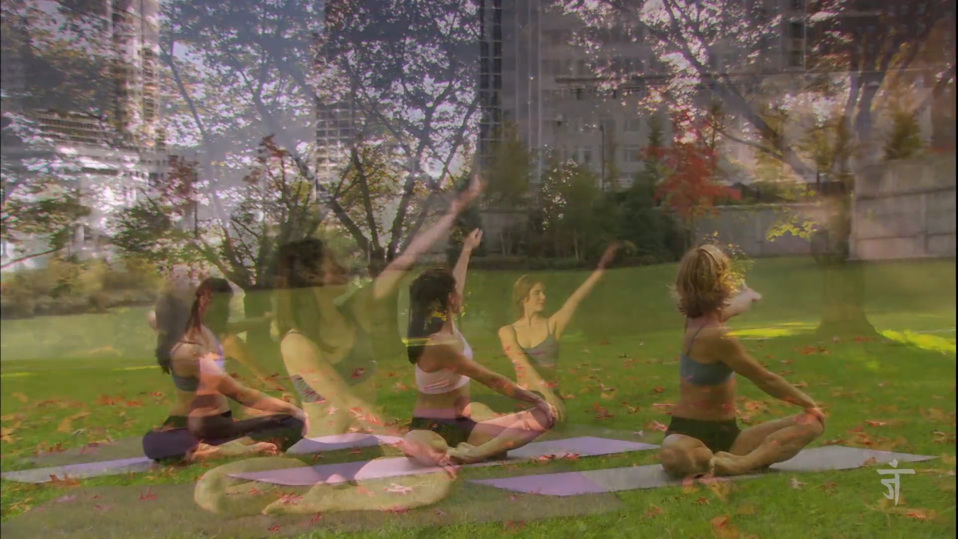 Episode 113 - Riding the Wind