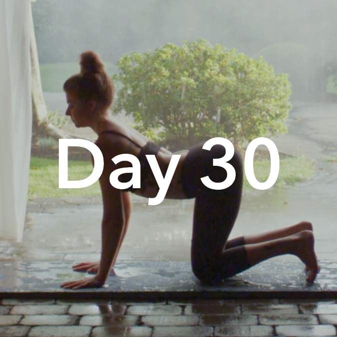 Yoga Foundations with Amanda | Full Body Yoga Class (25 Mins)