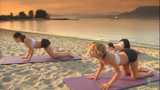 Firebird with Kate | Dynamic Hip Opening Yoga Class (24 Mins)