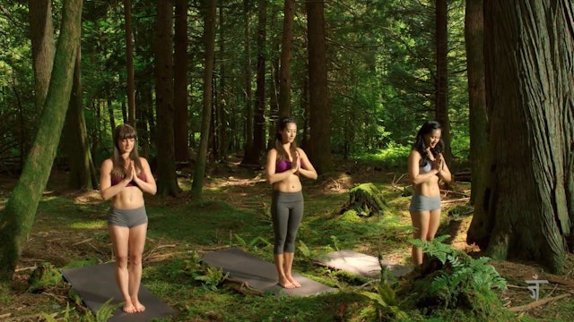 Warrior Wisdom with Erica | Strength Building Yoga Class (22 Mins)