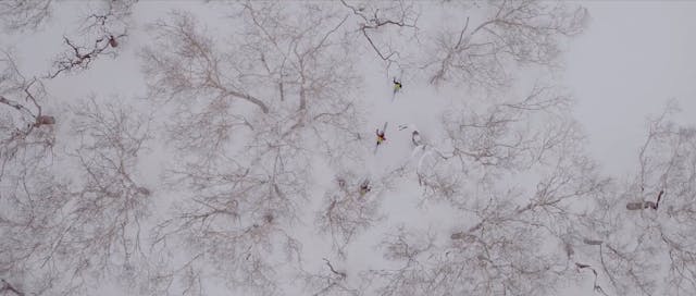 Fountain Of Youth by Mike Douglas | D...