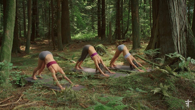 Yoga Foundations with Amanda | Full Body Yoga Class (25 Mins)