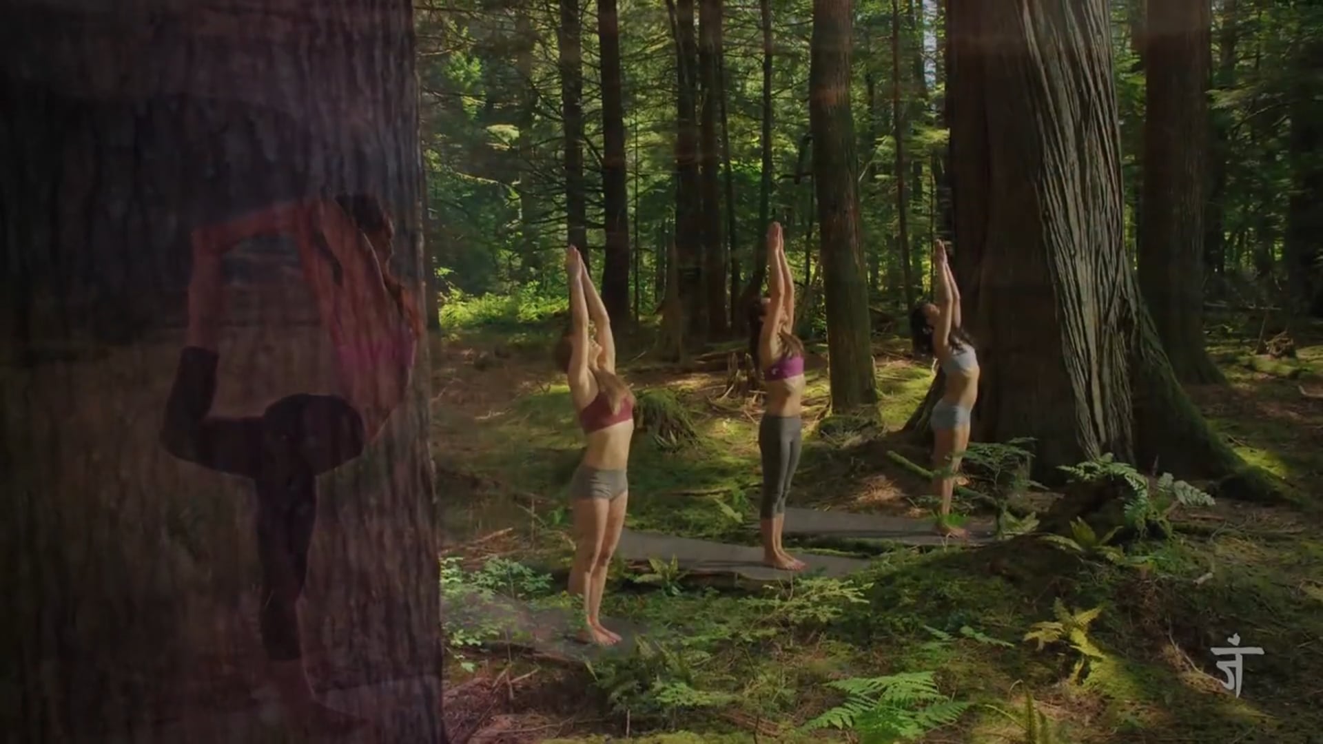 Episode 411 - Root to Rise