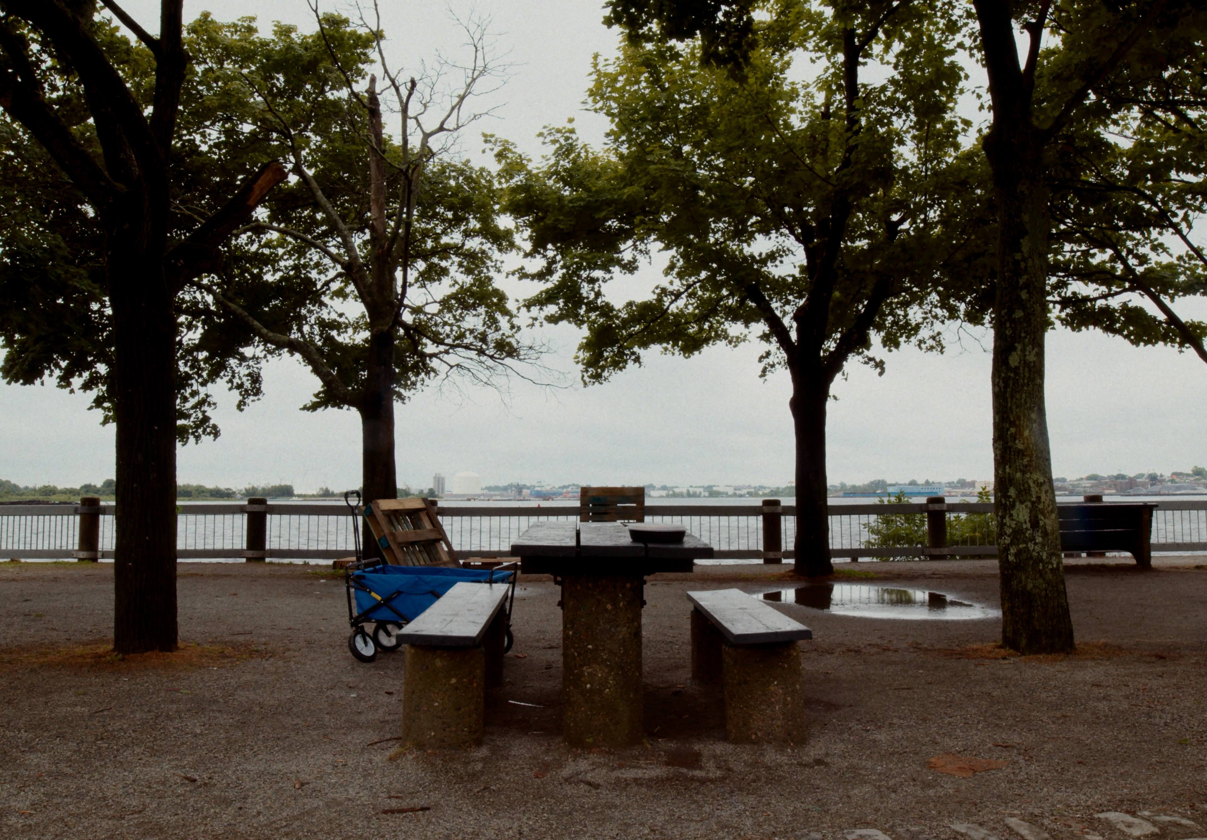 Trailer | We Are Always Hiding