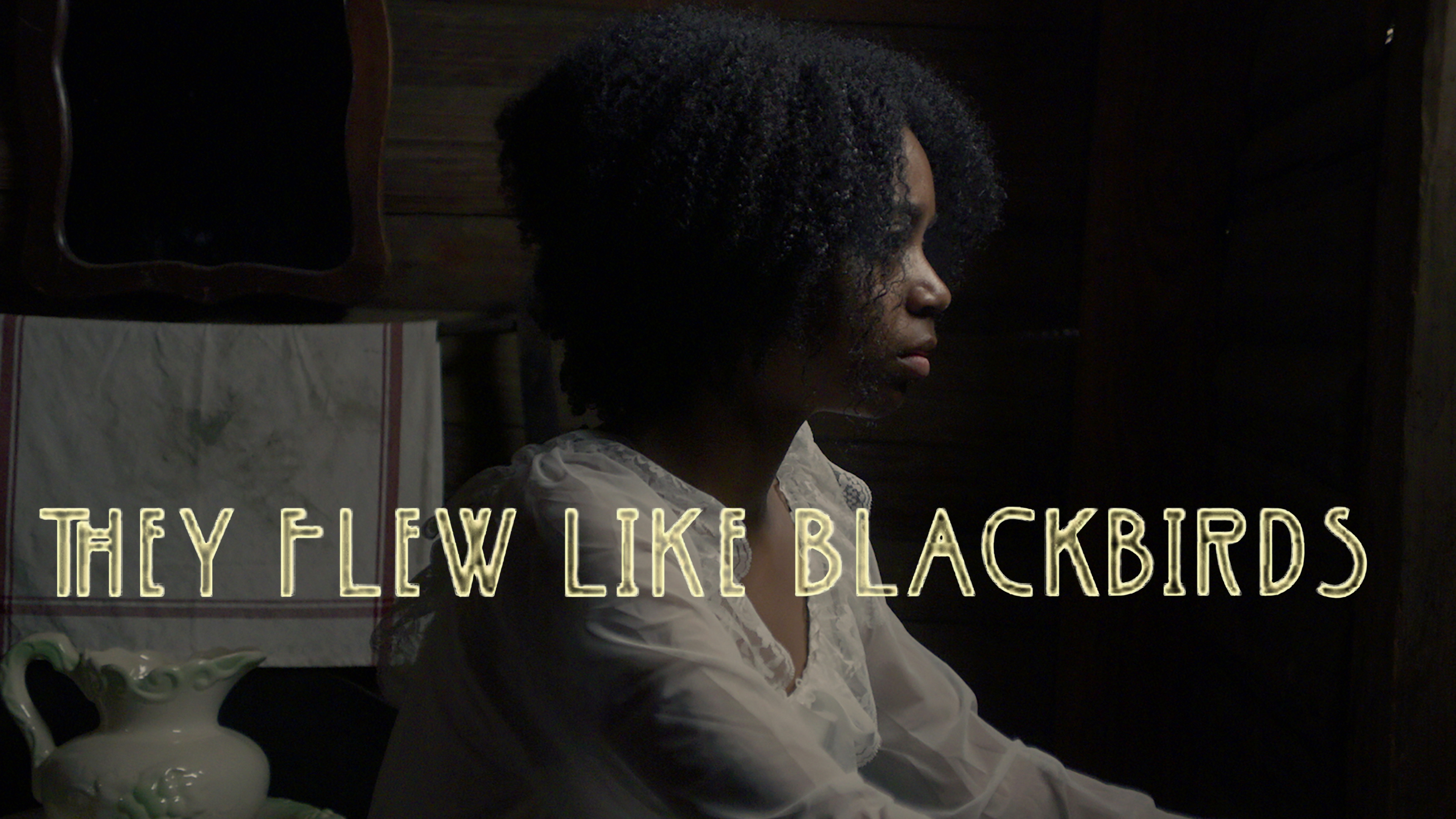 They Flew Like Blackbirds