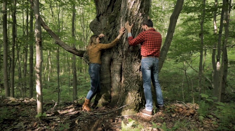 Genius in a Small Town