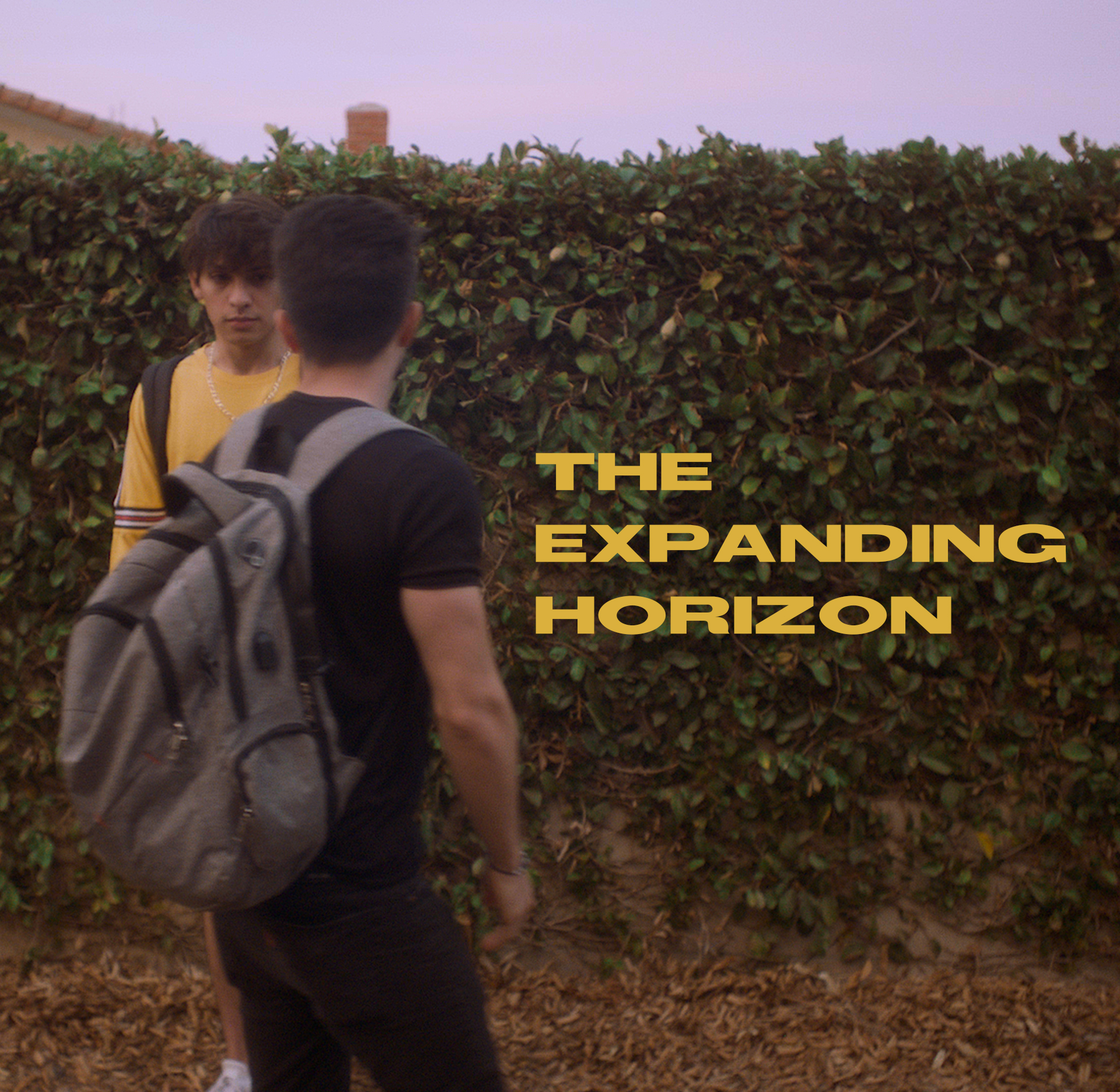 The Expanding Horizon