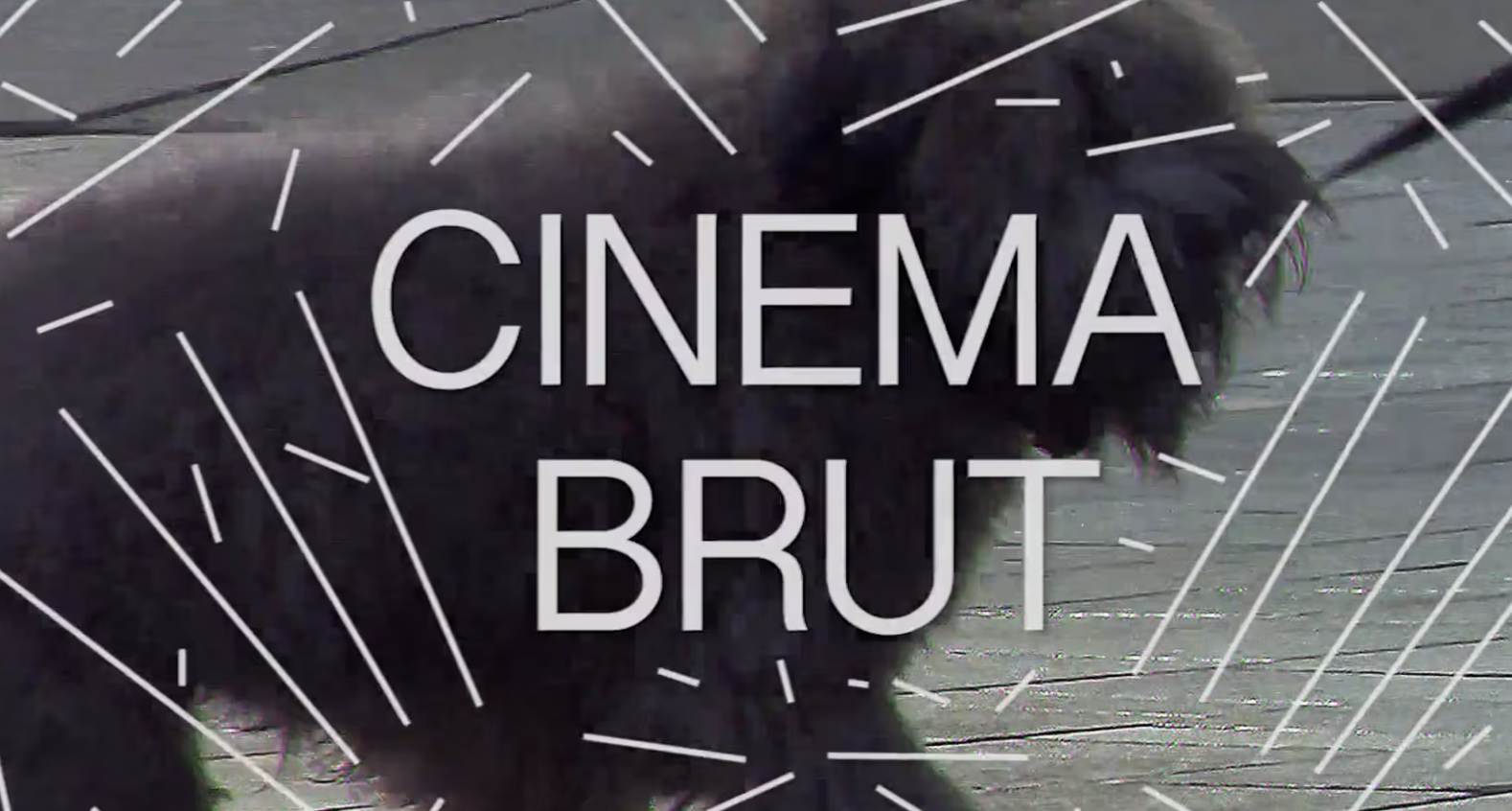 Cinema Brut