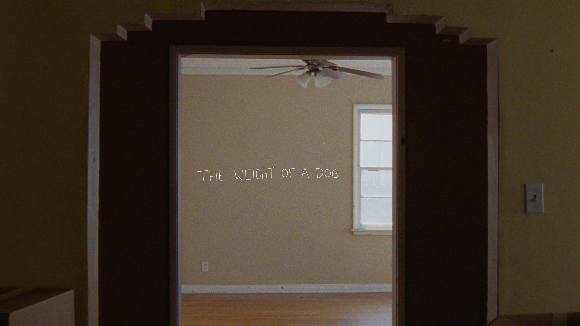 the weight of a dog