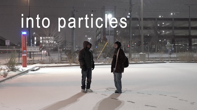 Into Particles