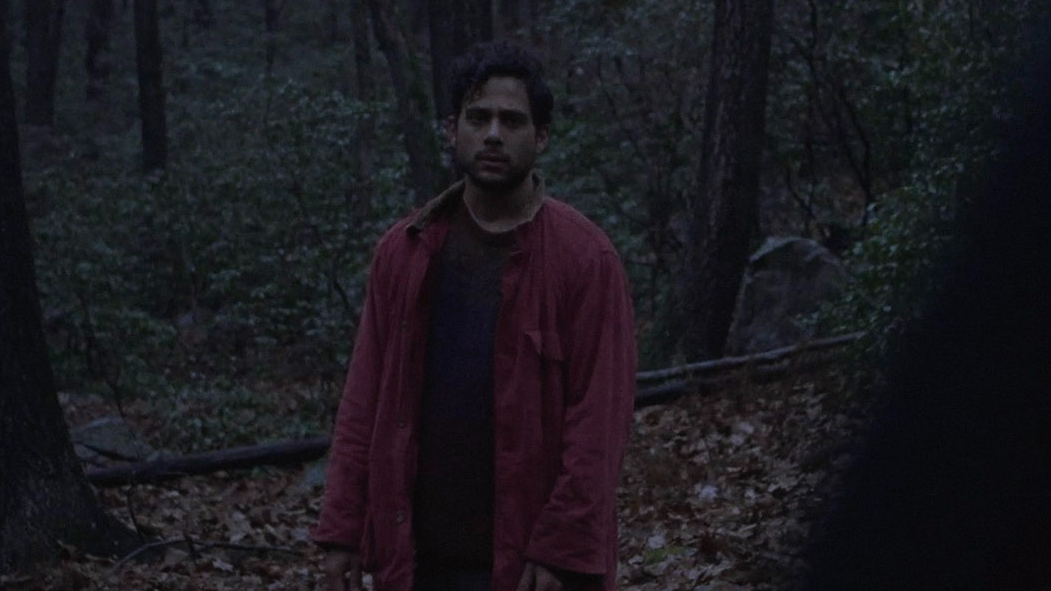 Bruised Fruit Tastes Sweeter