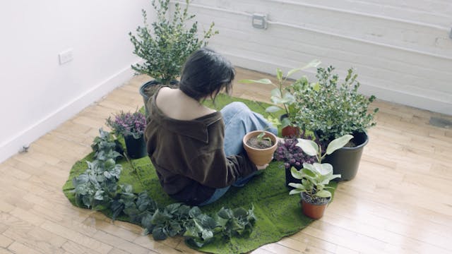 ecologics