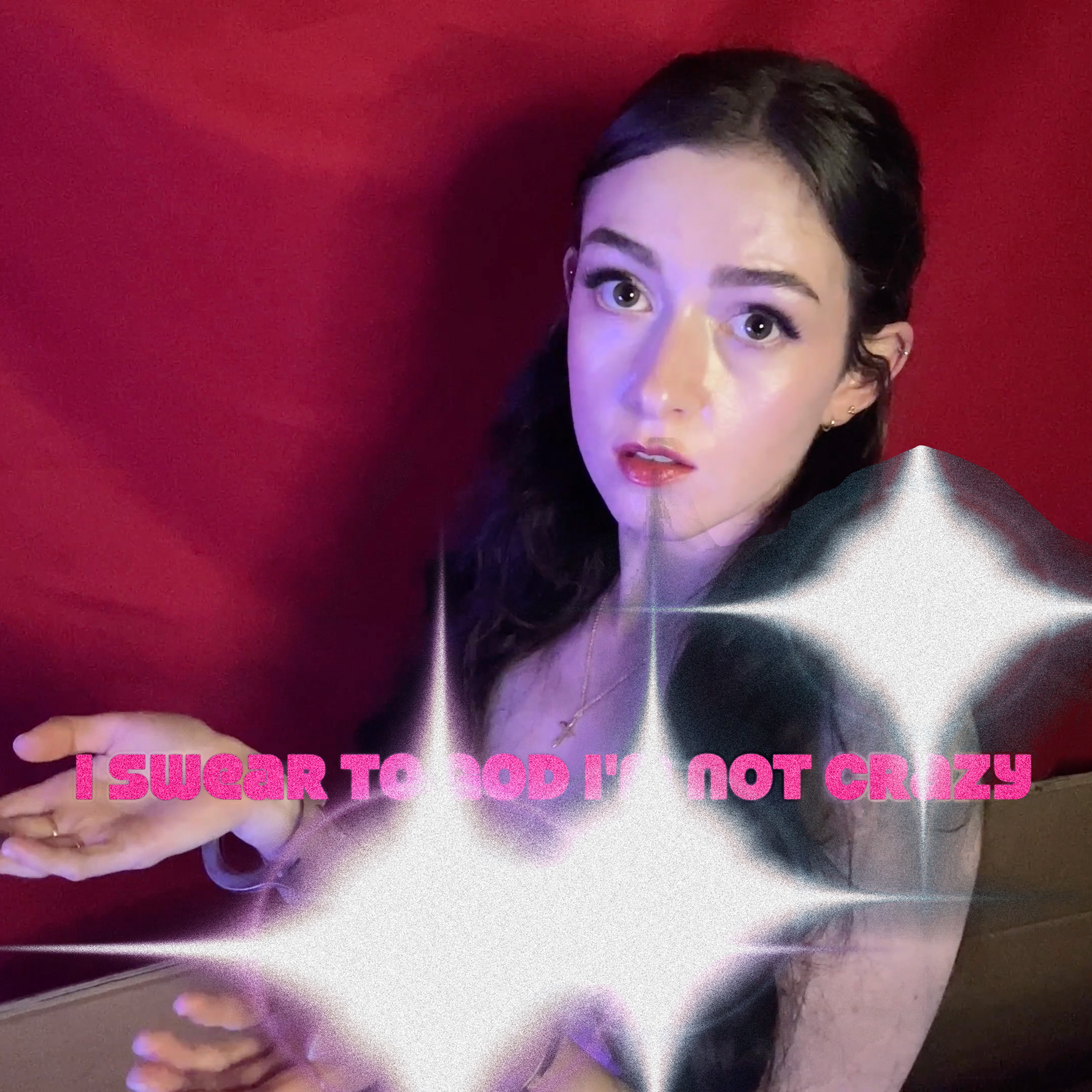 I Swear to God I'm not Crazy