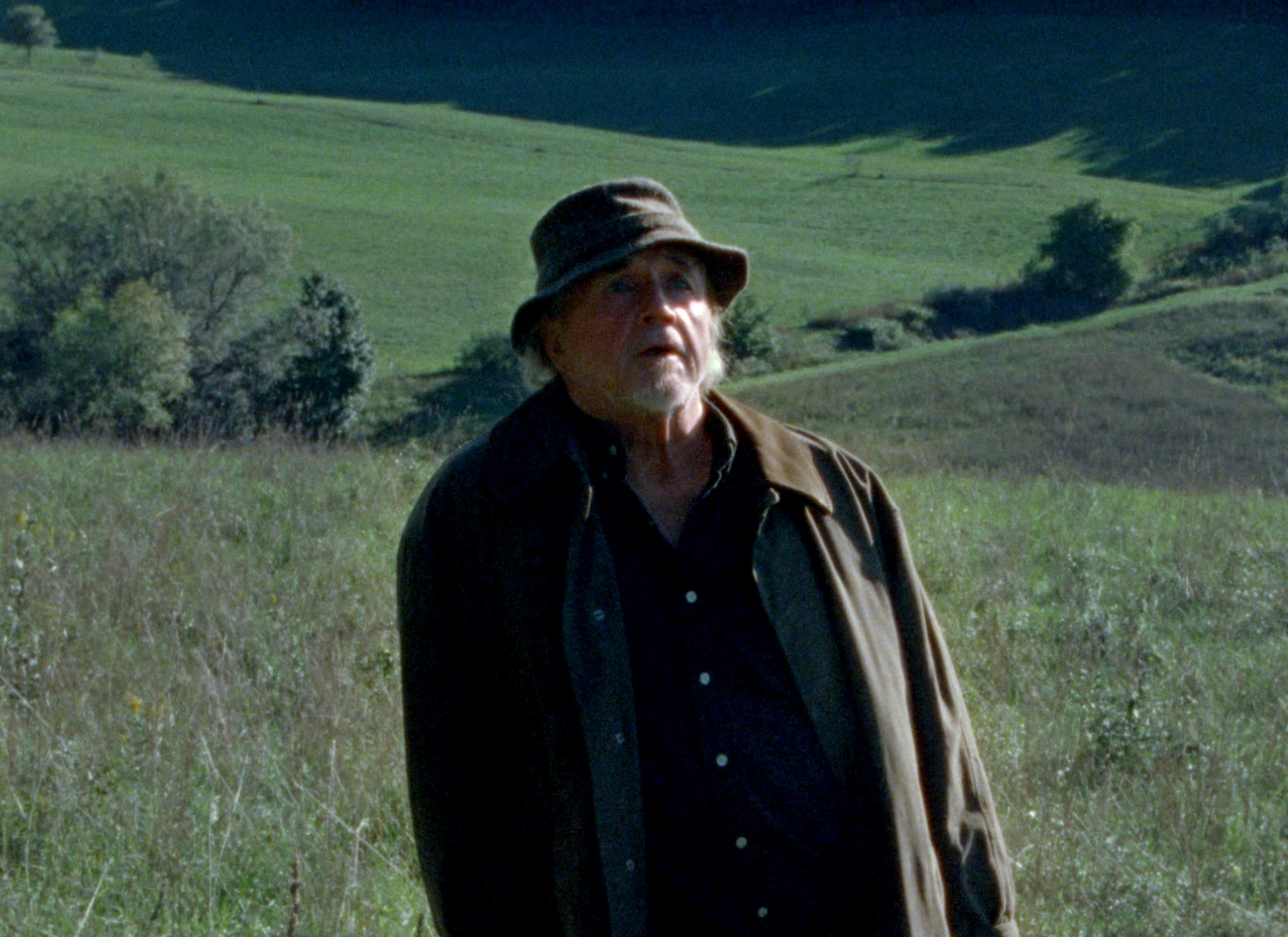 Trailer | Afternoon of Dying Trees