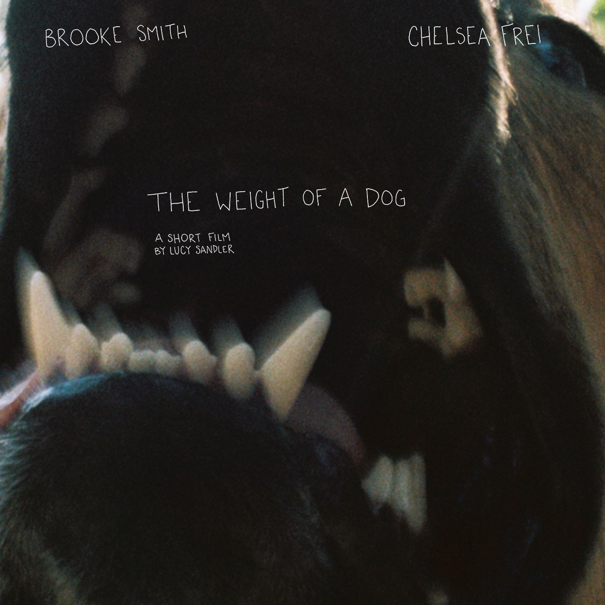 the weight of a dog