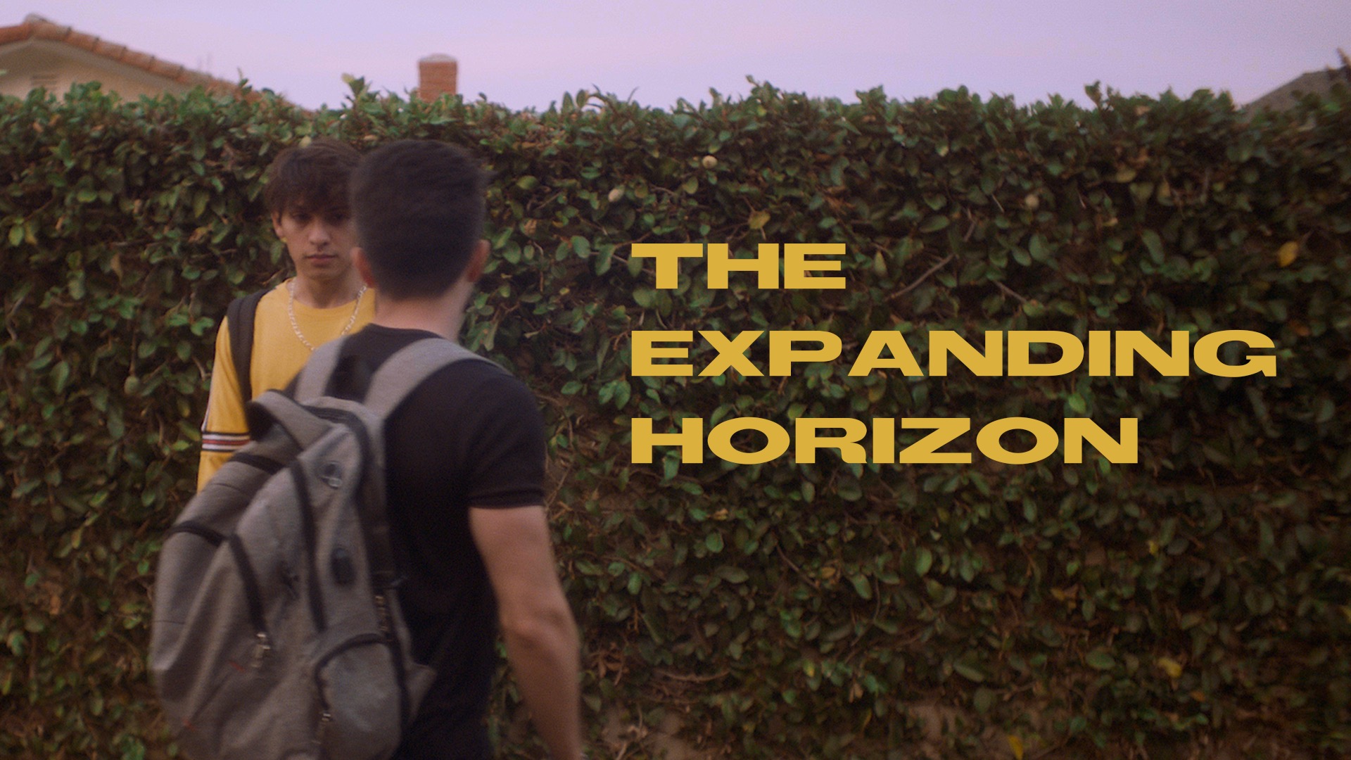 The Expanding Horizon