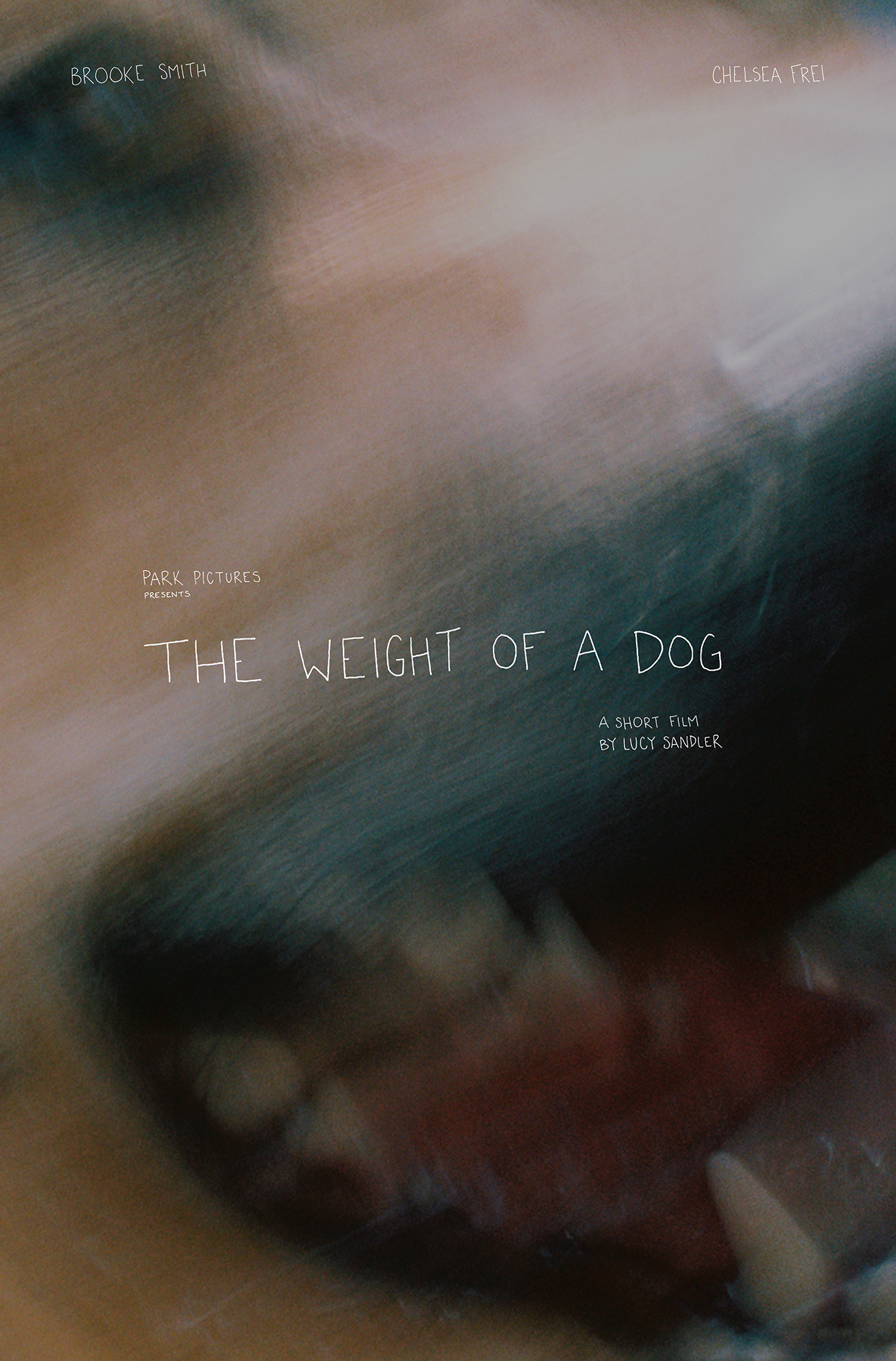 the weight of a dog