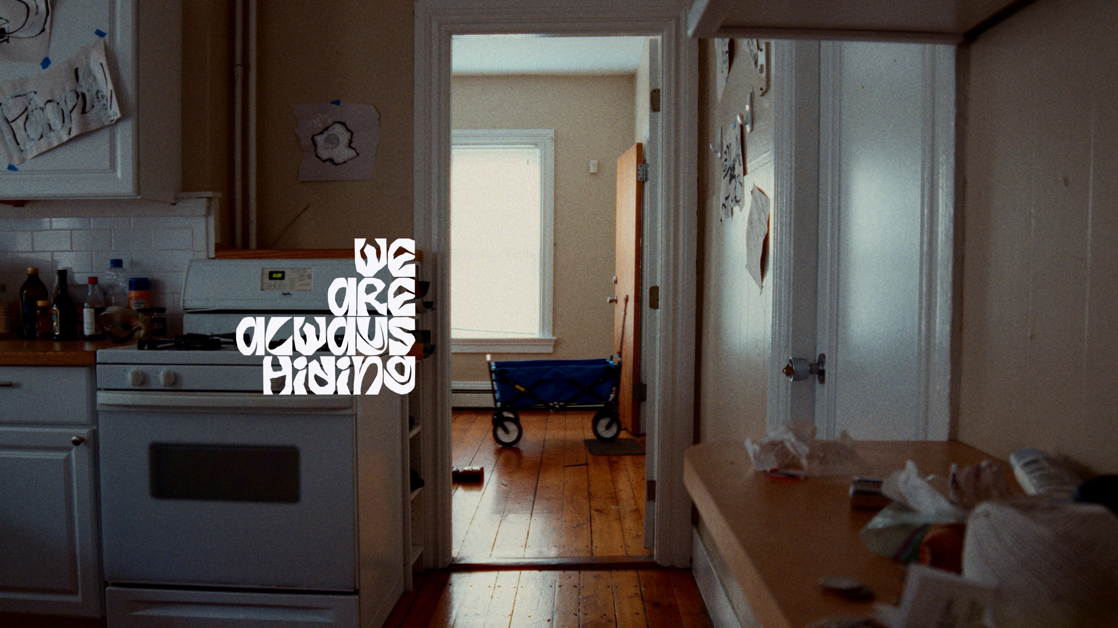 We Are Always Hiding