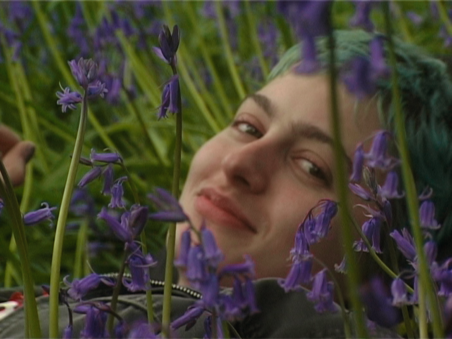 Blue Violet