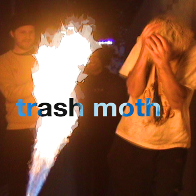 Trash Moth