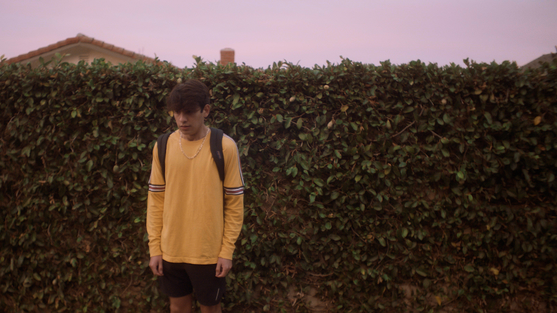 The Expanding Horizon