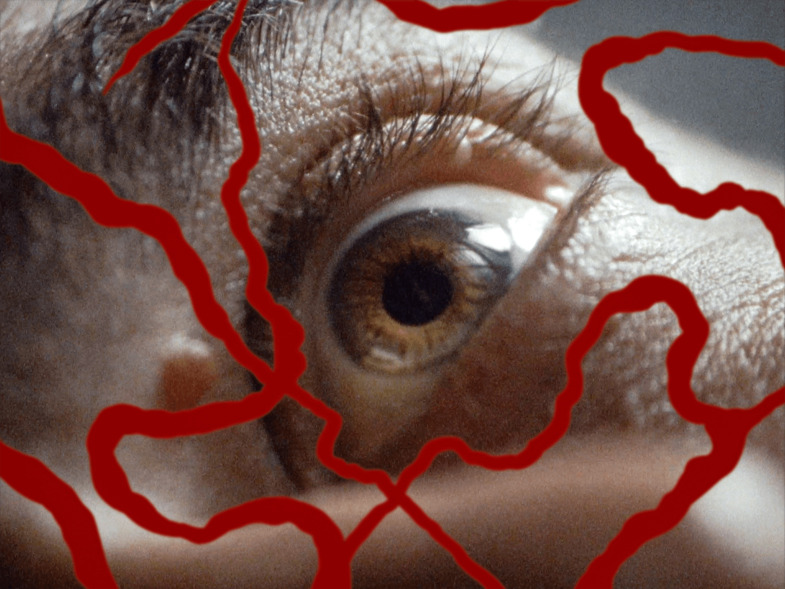 You've Never Been Completely Honest