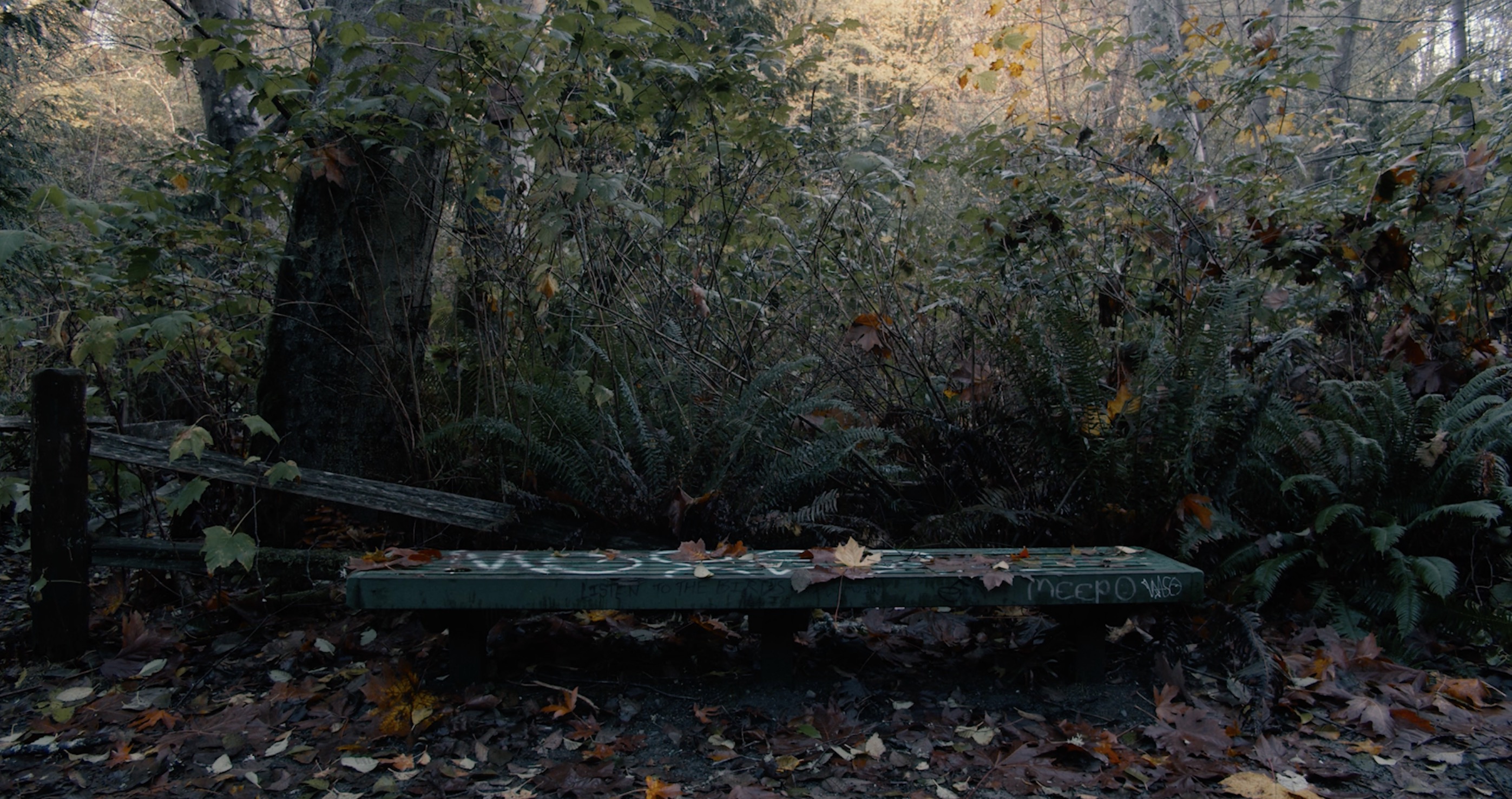 I Wish There Was a Guy Term for I Love You