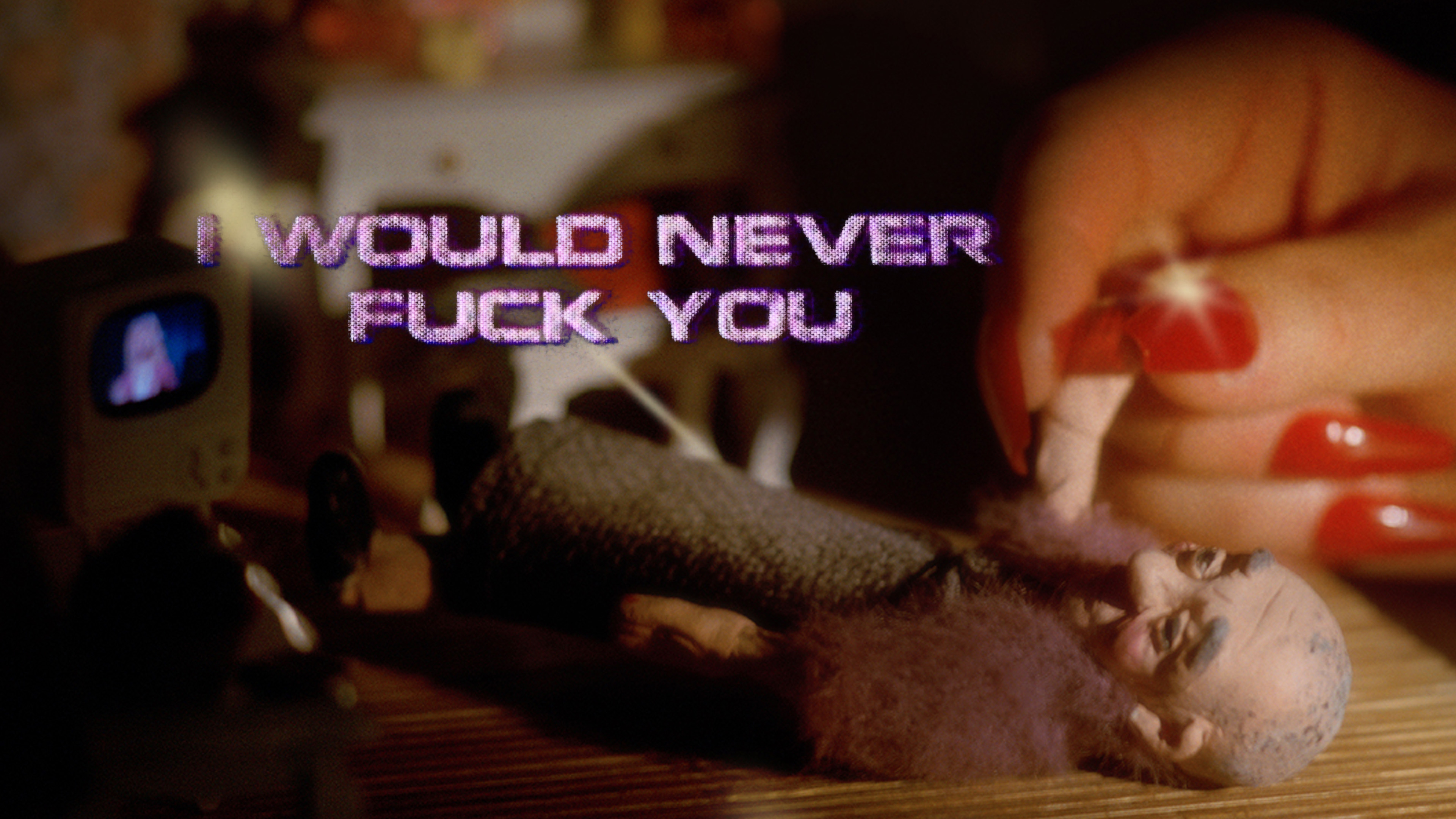 I Would Never Fuck You