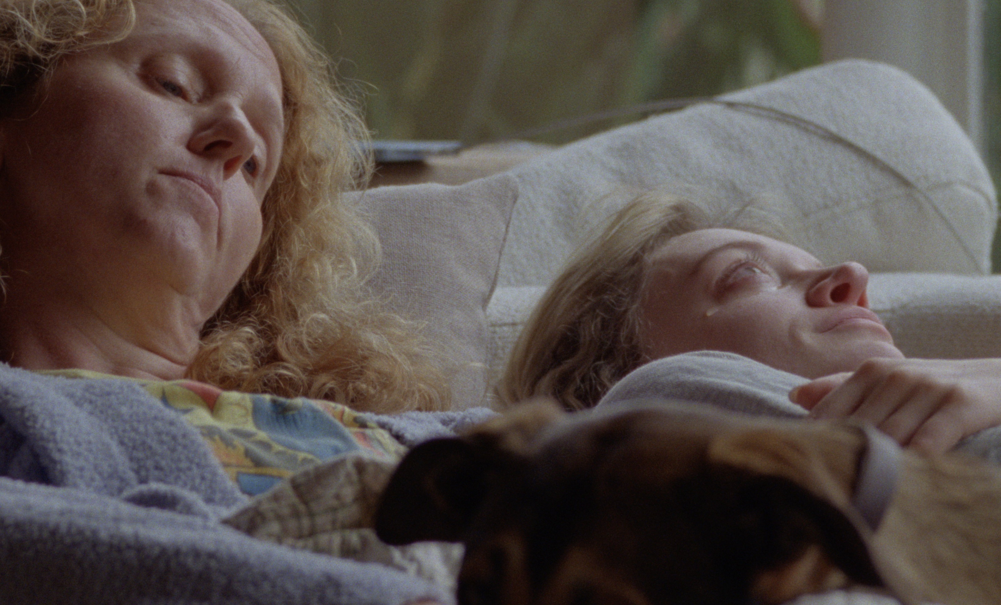 Trailer | the weight of a dog