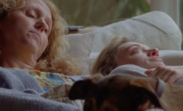 Trailer | the weight of a dog