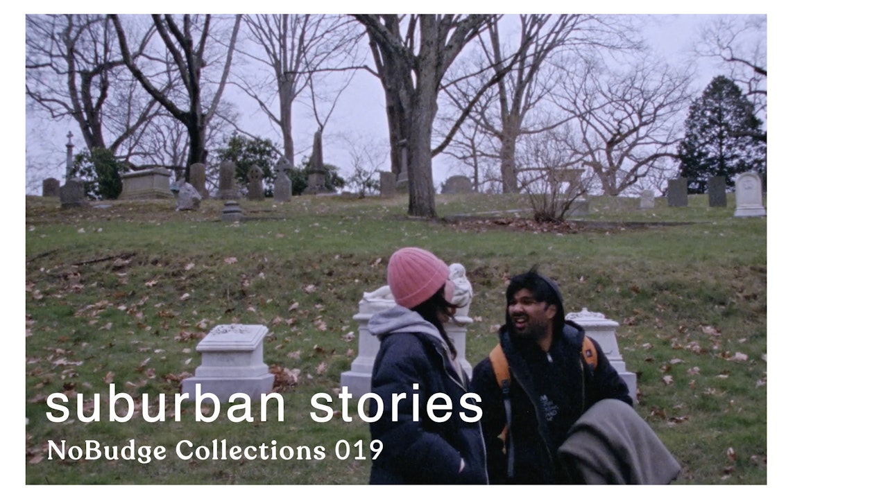 Suburban Stories