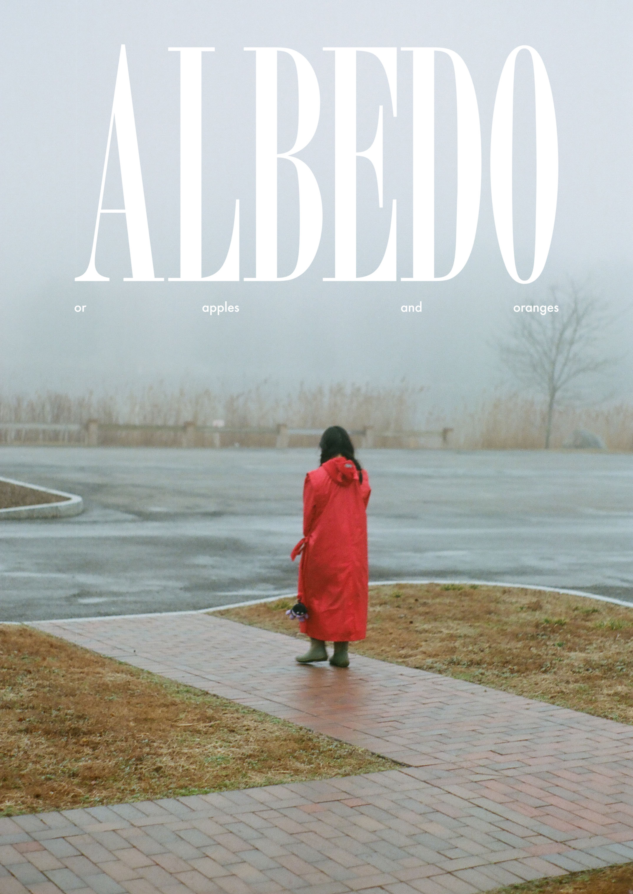 Albedo or Apples and Oranges