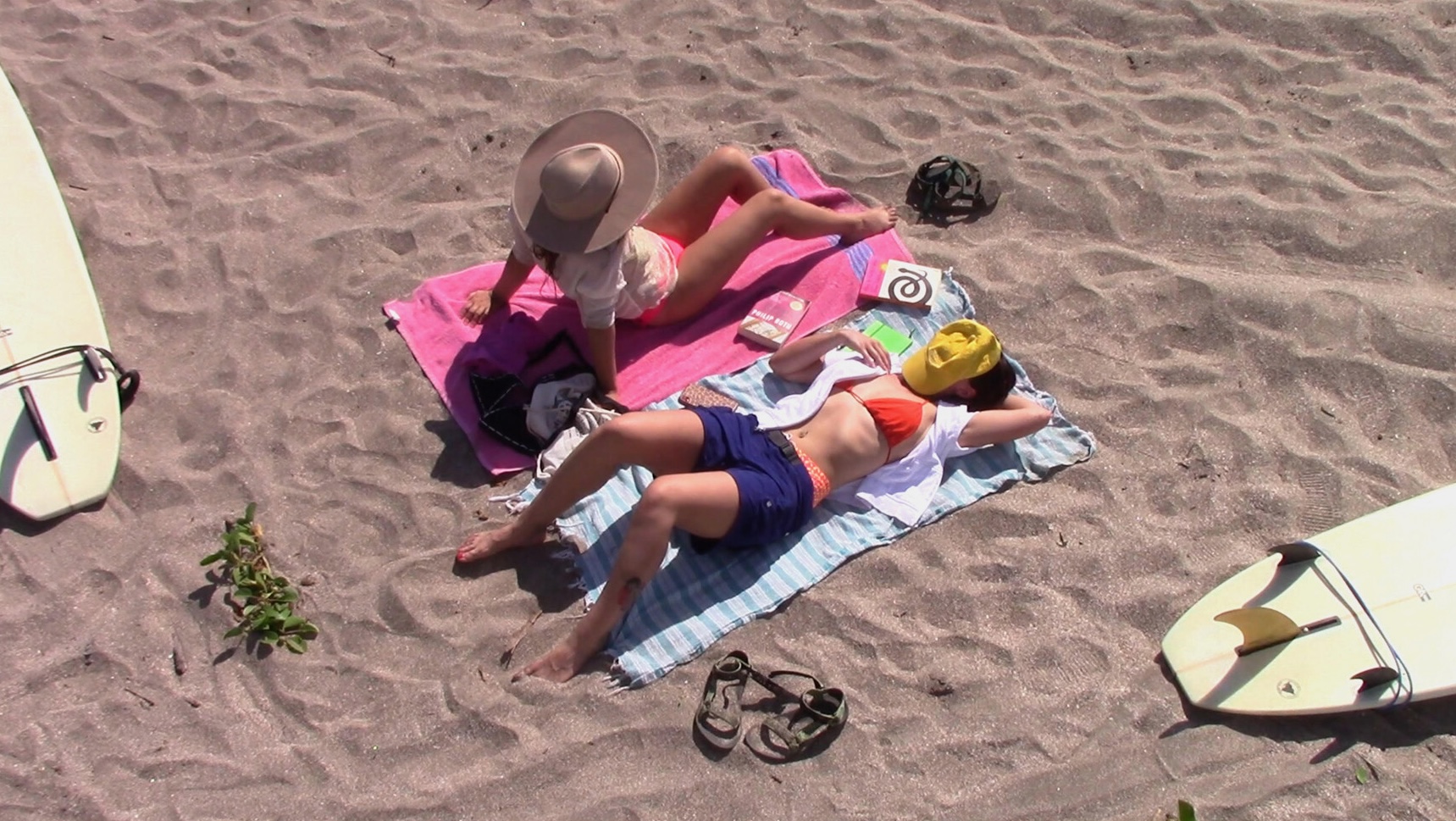 Trailer | Turn On The Bright Lights