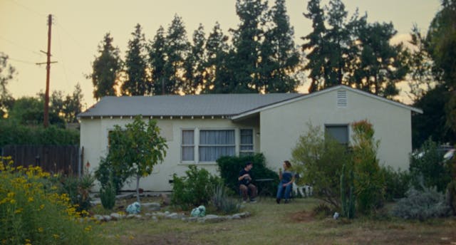 Trailer | The Curtains Glow At Night