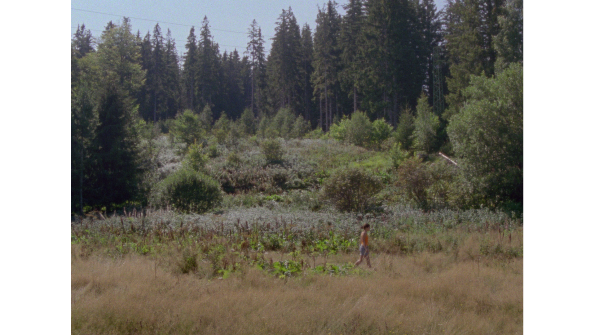 Trailer | Everything Tastes Strange Today