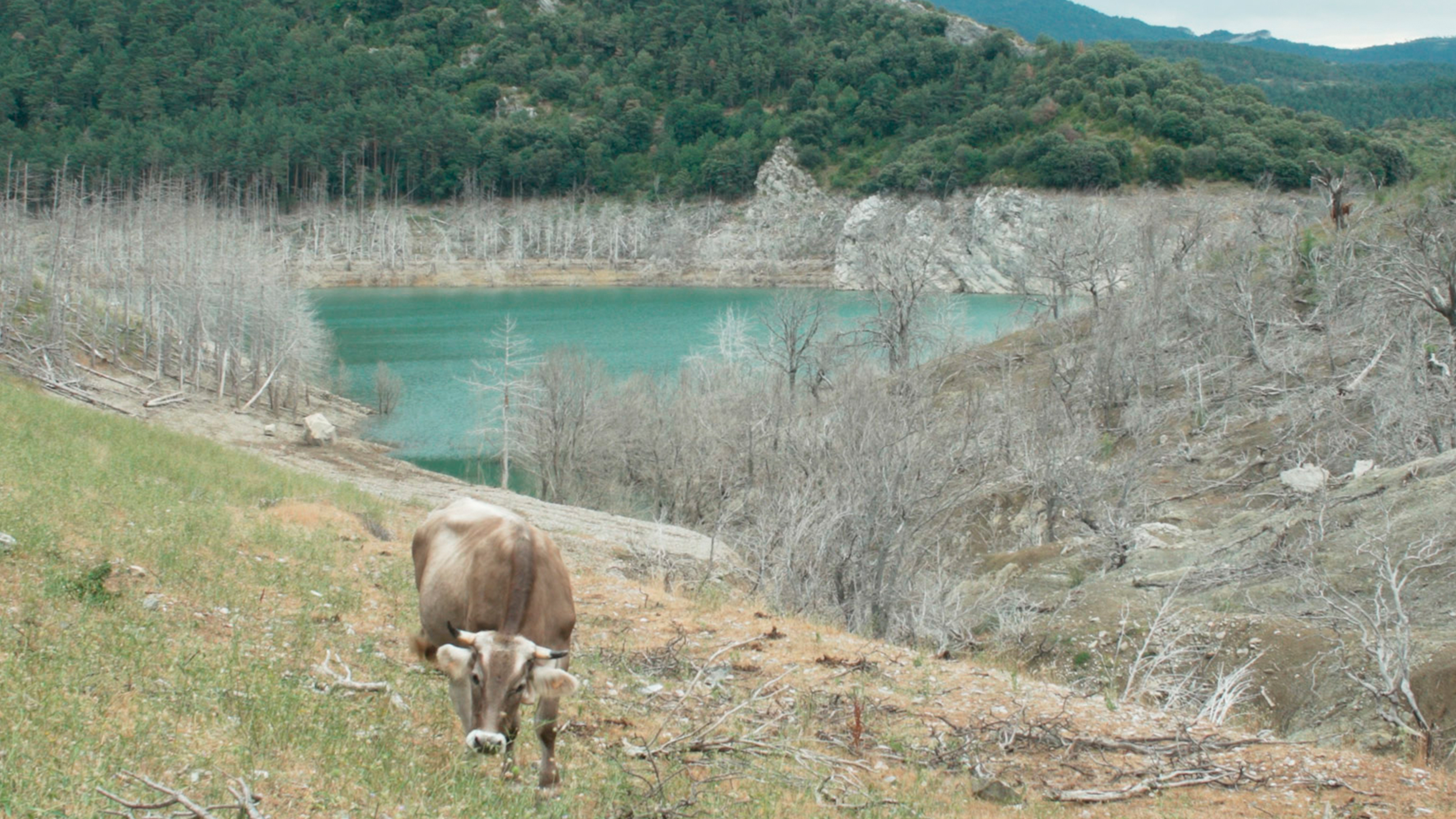 CIENCIA Y NATURALEZA