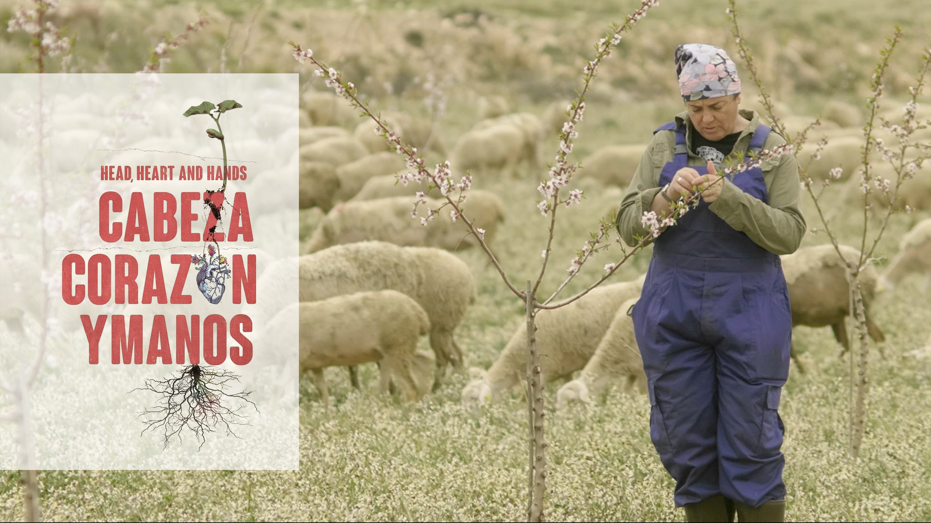 Cabeza, corazón y manos