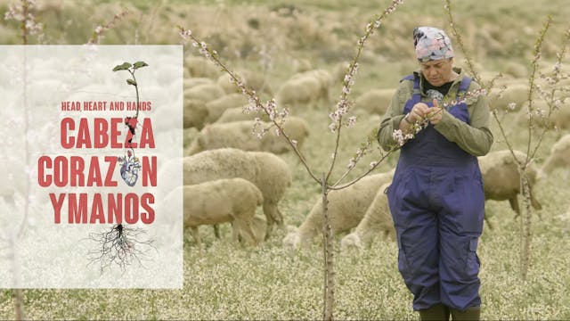 Cabeza, corazón y manos