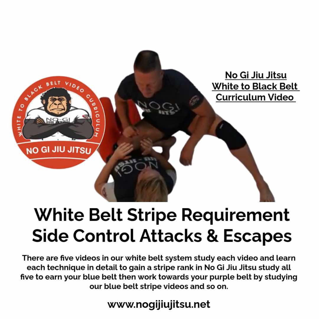 BJJ White Belt 2nd Stripe - Side Control