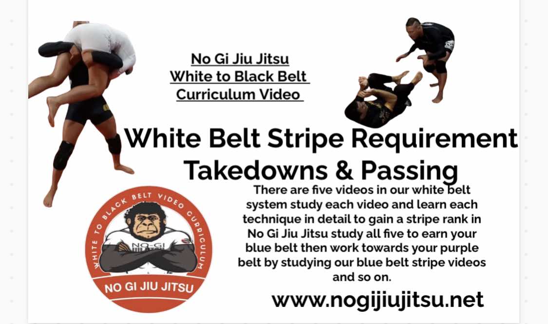 BJJ White Belt 1st Stripe Takedowns & Passes