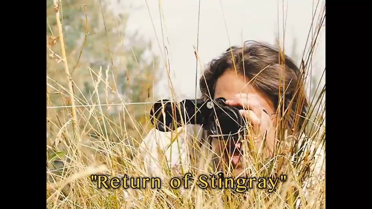 Bare Knuckle Bruiser