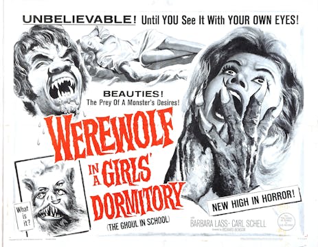 Werewolf In A Girls Dormitory