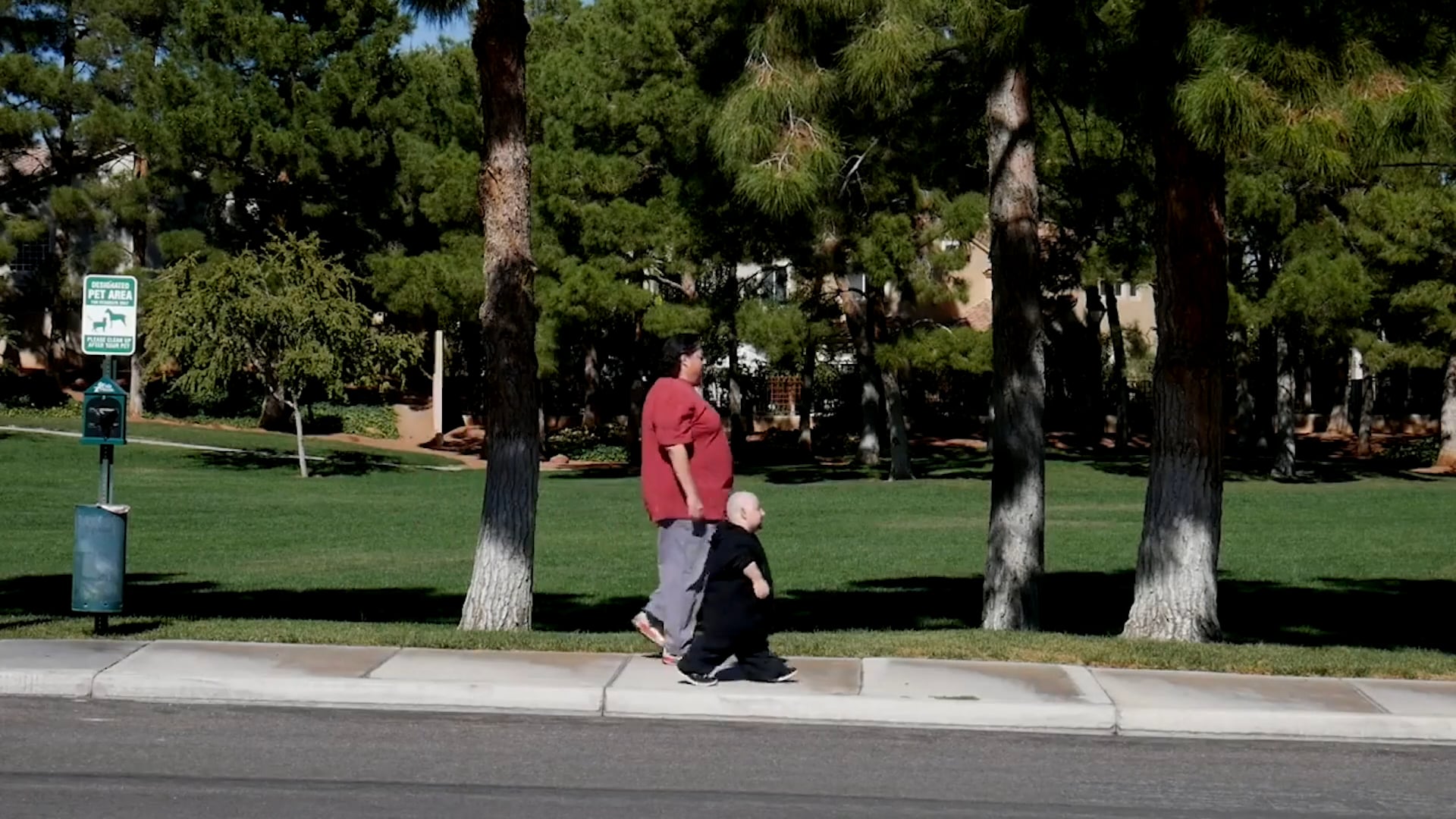 NZTV roku advert: Are you down?