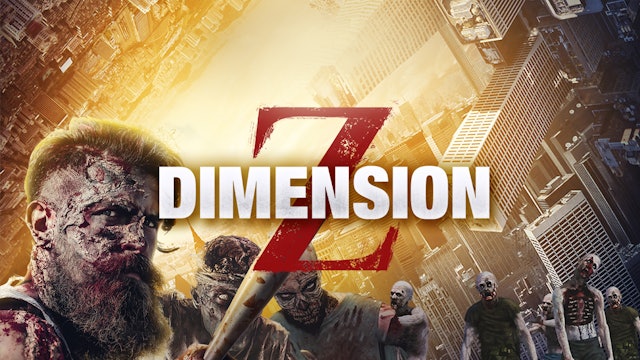 Dimension Z