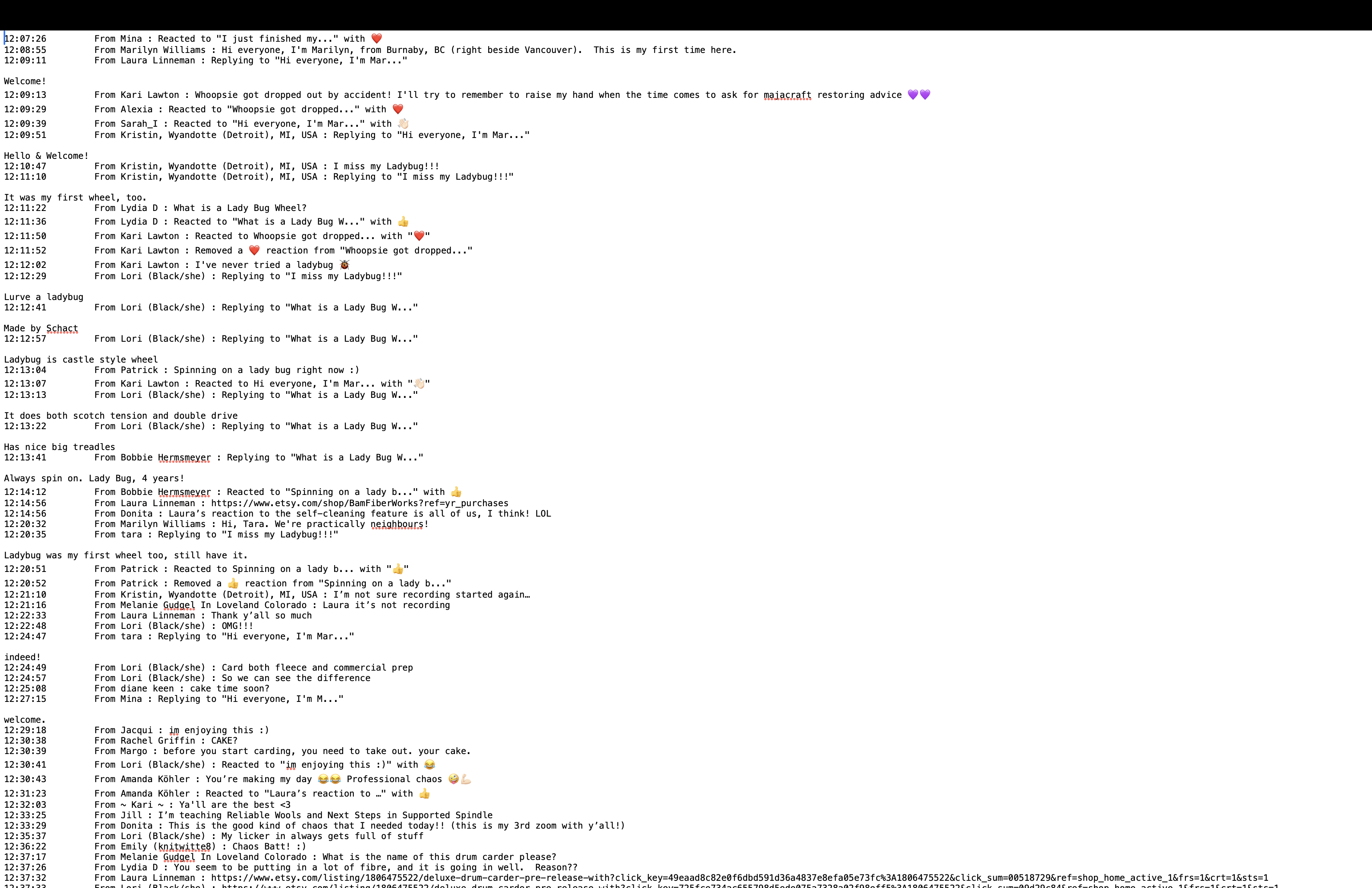 11.17.24-spin-in-chat.pdf