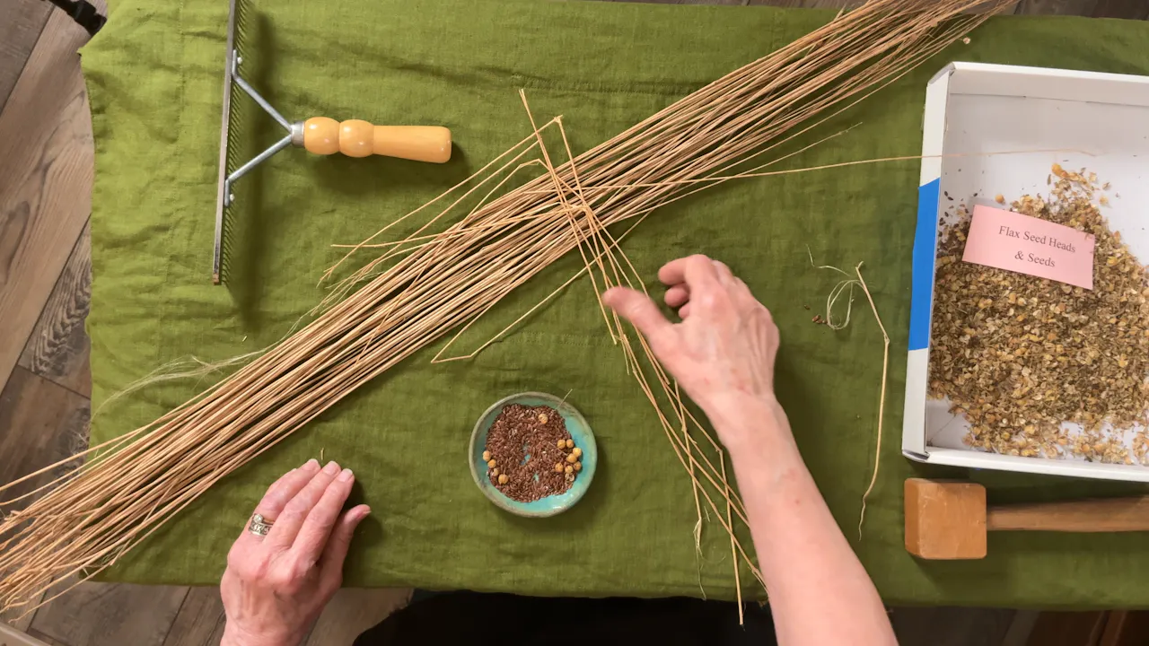 S2E4.4 - Growing Your Own Flax - S2E4: Growing and Processing Flax ...