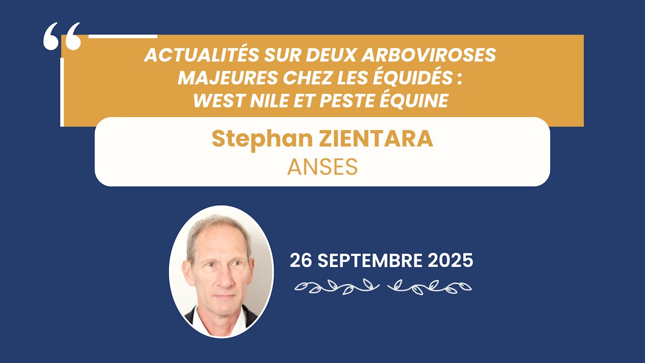 Actualité : West Nile et peste équine - 2025