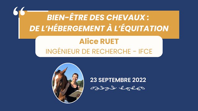 Bien-être : de l'hébergement à l'équitation - 2022