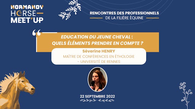 02- Education du jeune cheval : quels éléments prendre en compte ?