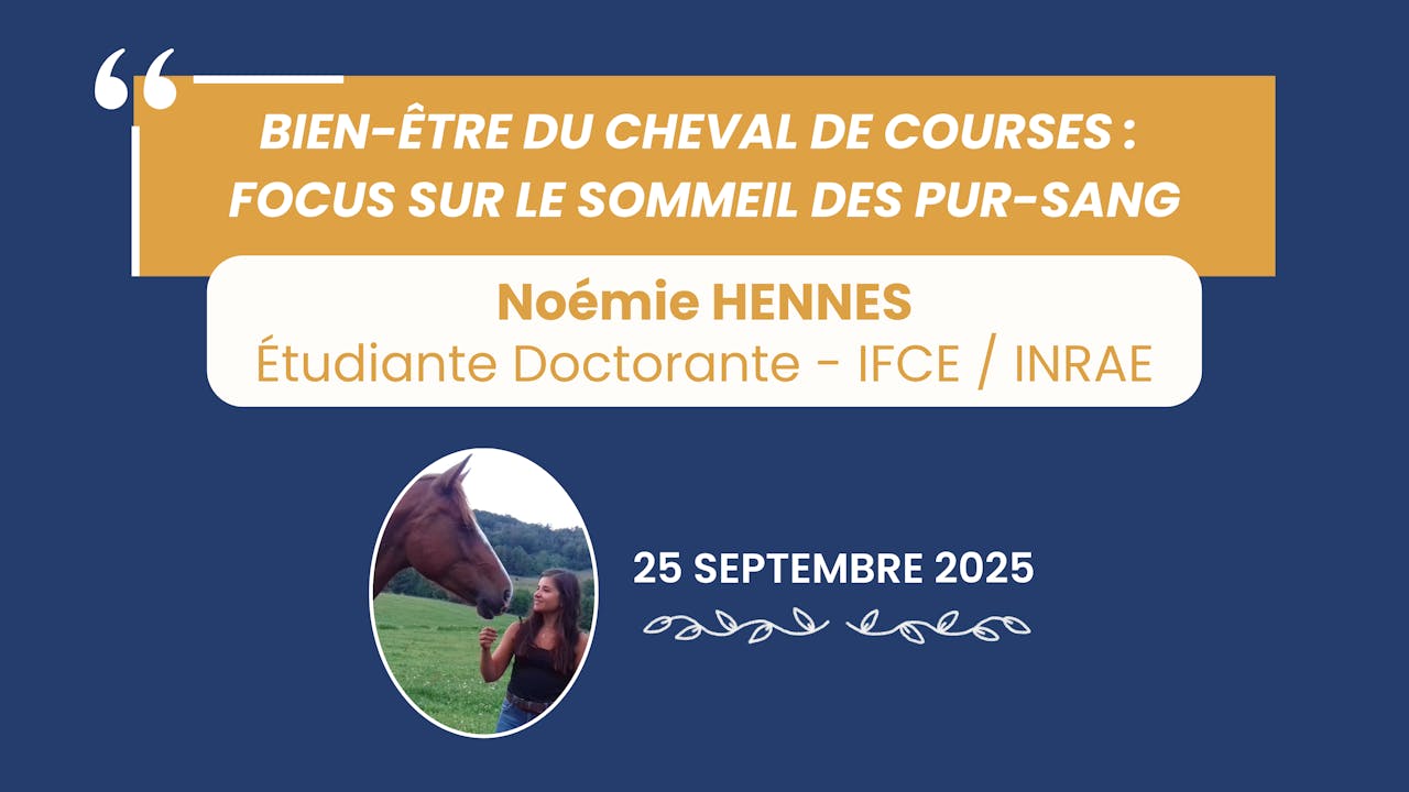 Focus sur le sommeil des pur-sang - 2025